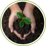 Soil Additives